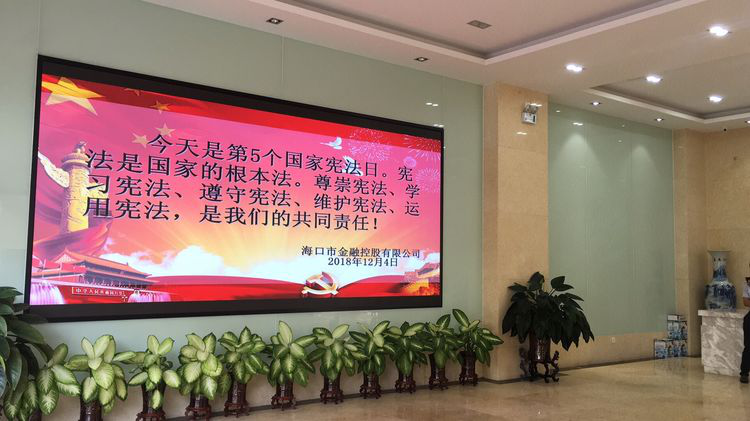海口市擔(dān)保投資有限公司開展12.4國家憲法日宣傳活動(dòng)