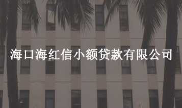 ?？诤＜t信小額貸款有限公司